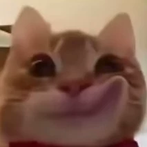 SKIBIDI