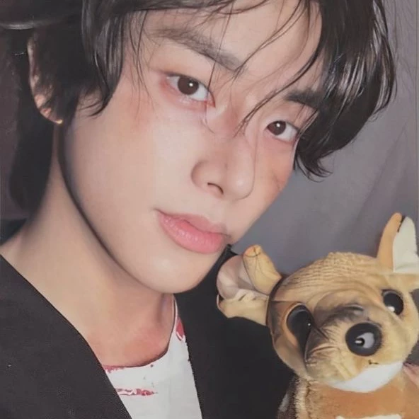  Noa 