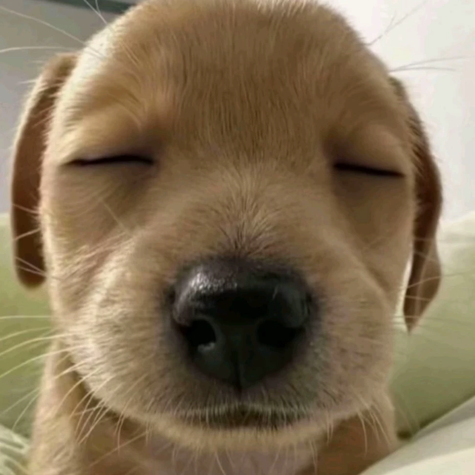 H Hello