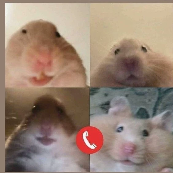 нико