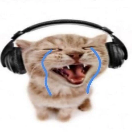 𝒮ahvis 𝑀üller