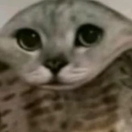 Juno