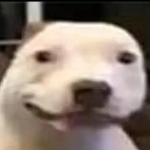  Vel