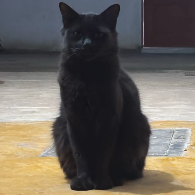 Rodrigo