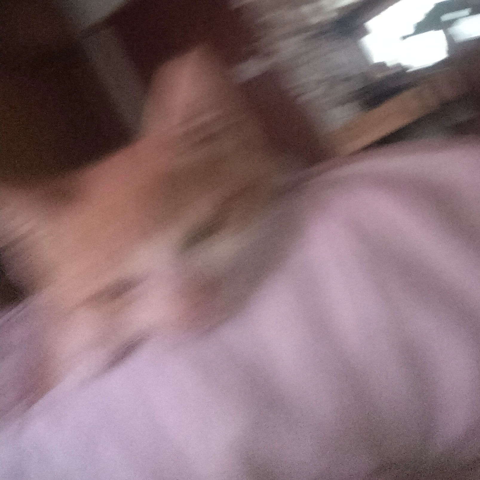 Aizawas_wifuu