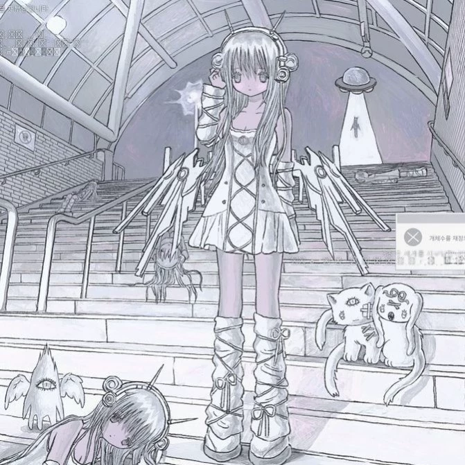 kaida