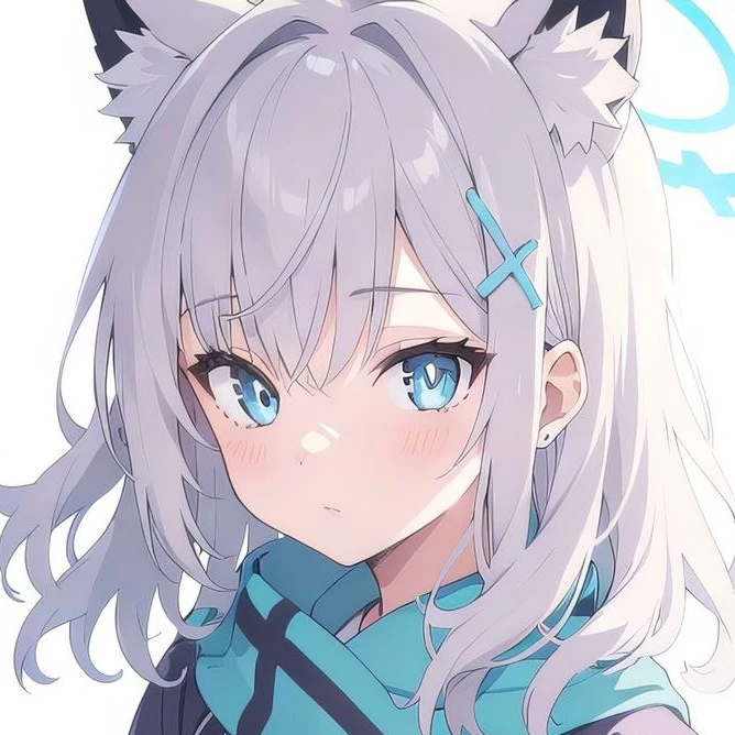 ST7X