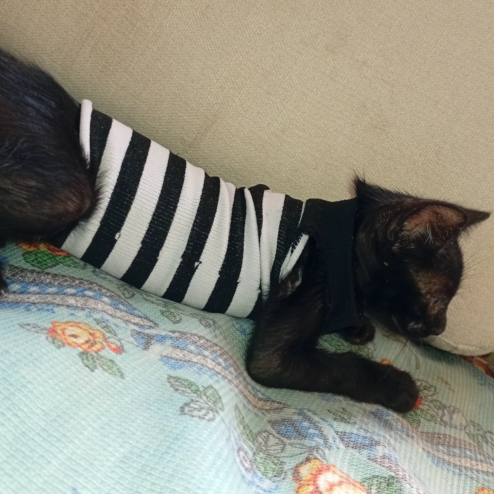 Sameki