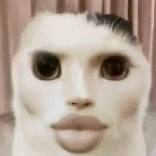  Kiga 