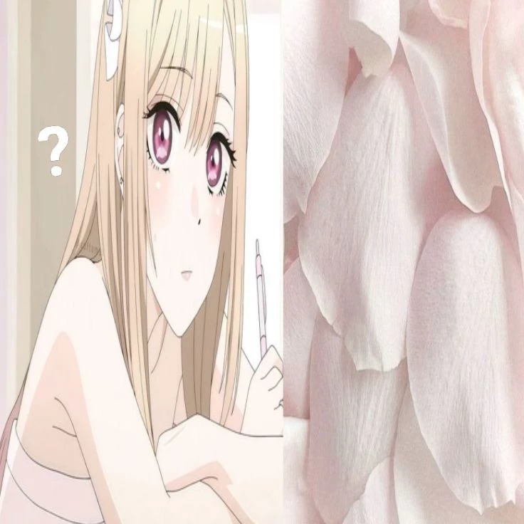 ariii