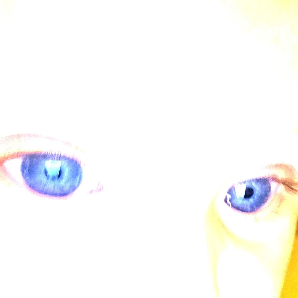 Y/n