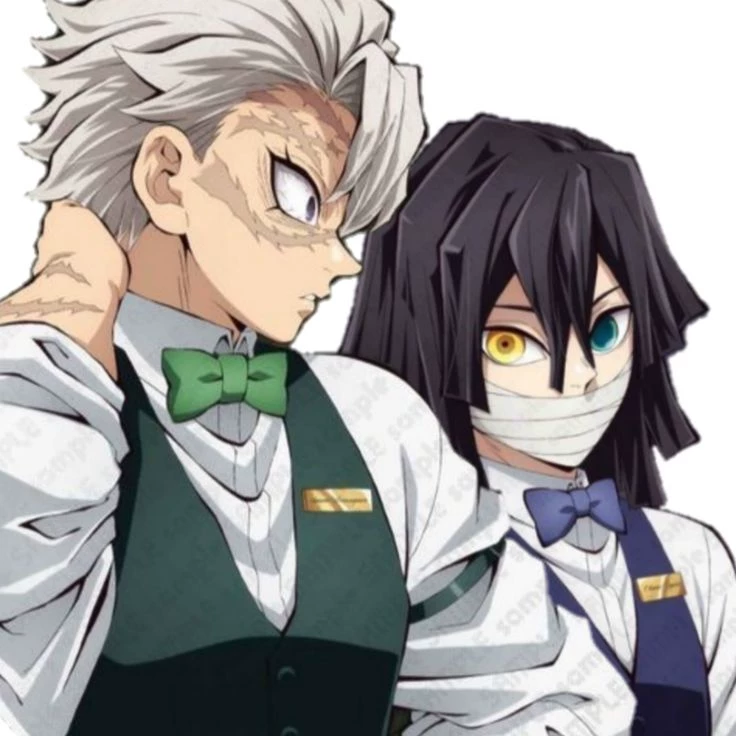 Sanemi e obanai thumbnail