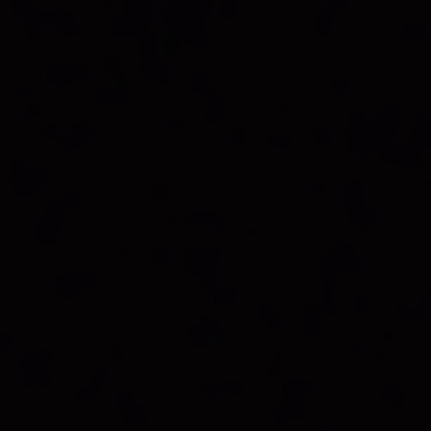 Vittorio