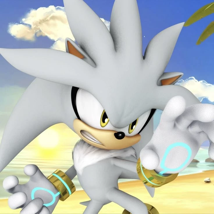 Silver the hedgehog,🌟