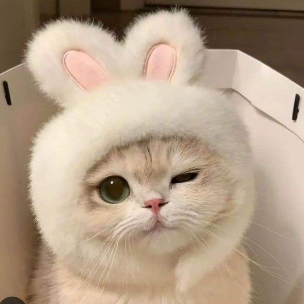 Ari