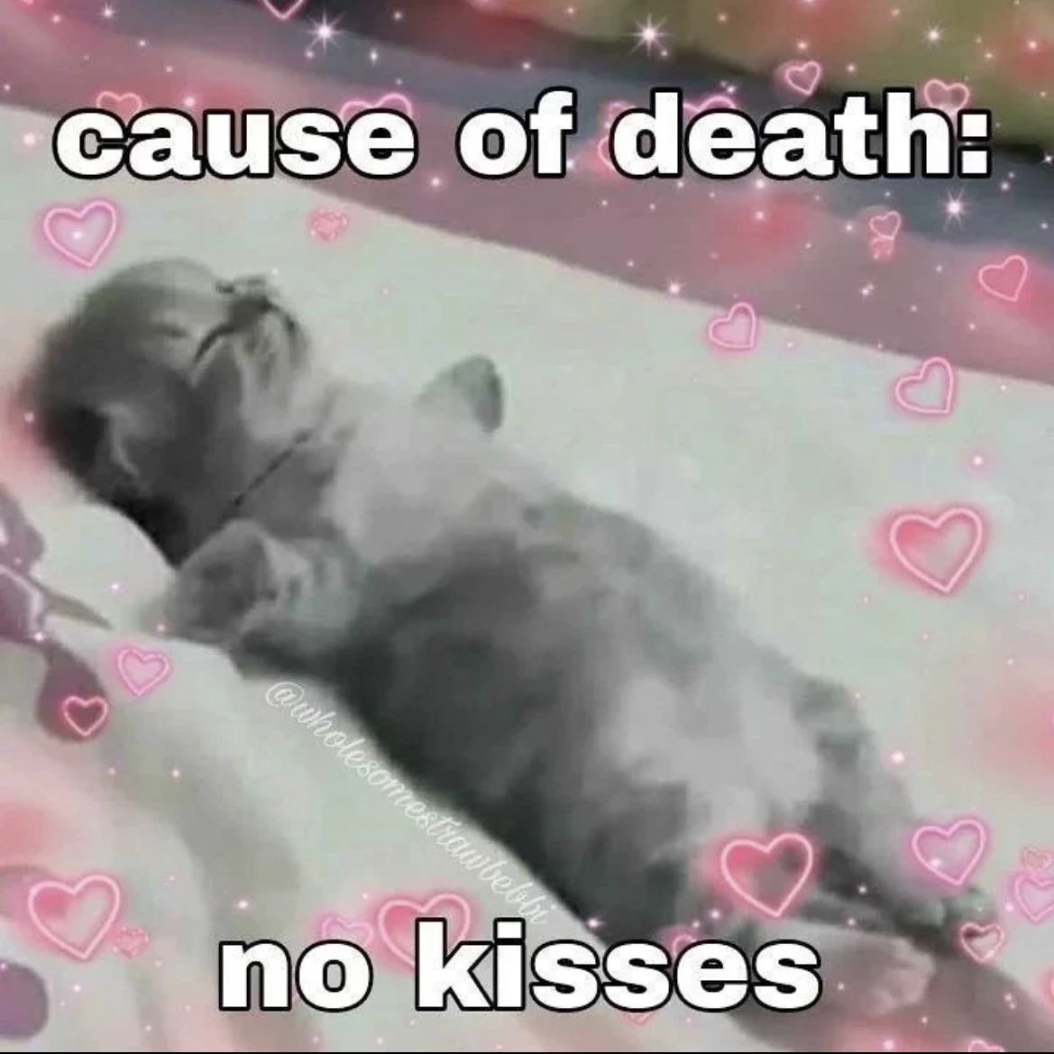 Ariana