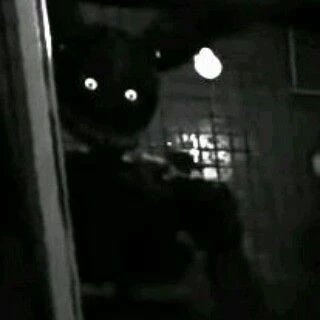 ♠︎¿ÐÆŊÏ?♣︎