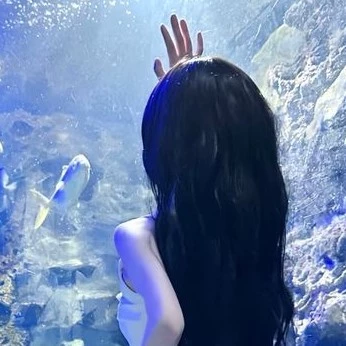 𝐀𝐞𝐫𝐢𝐬