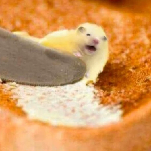 ButterHampter