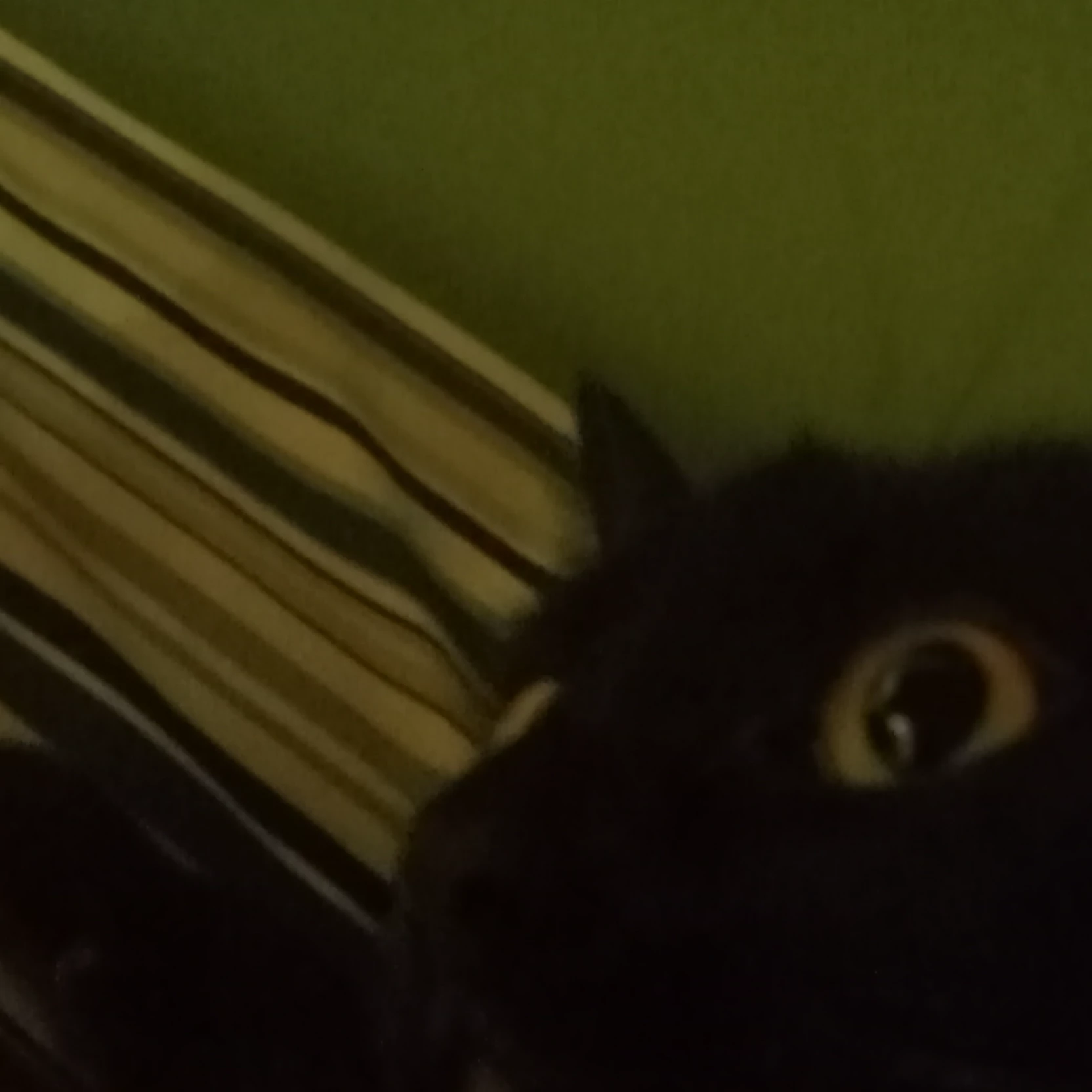 Kyan
