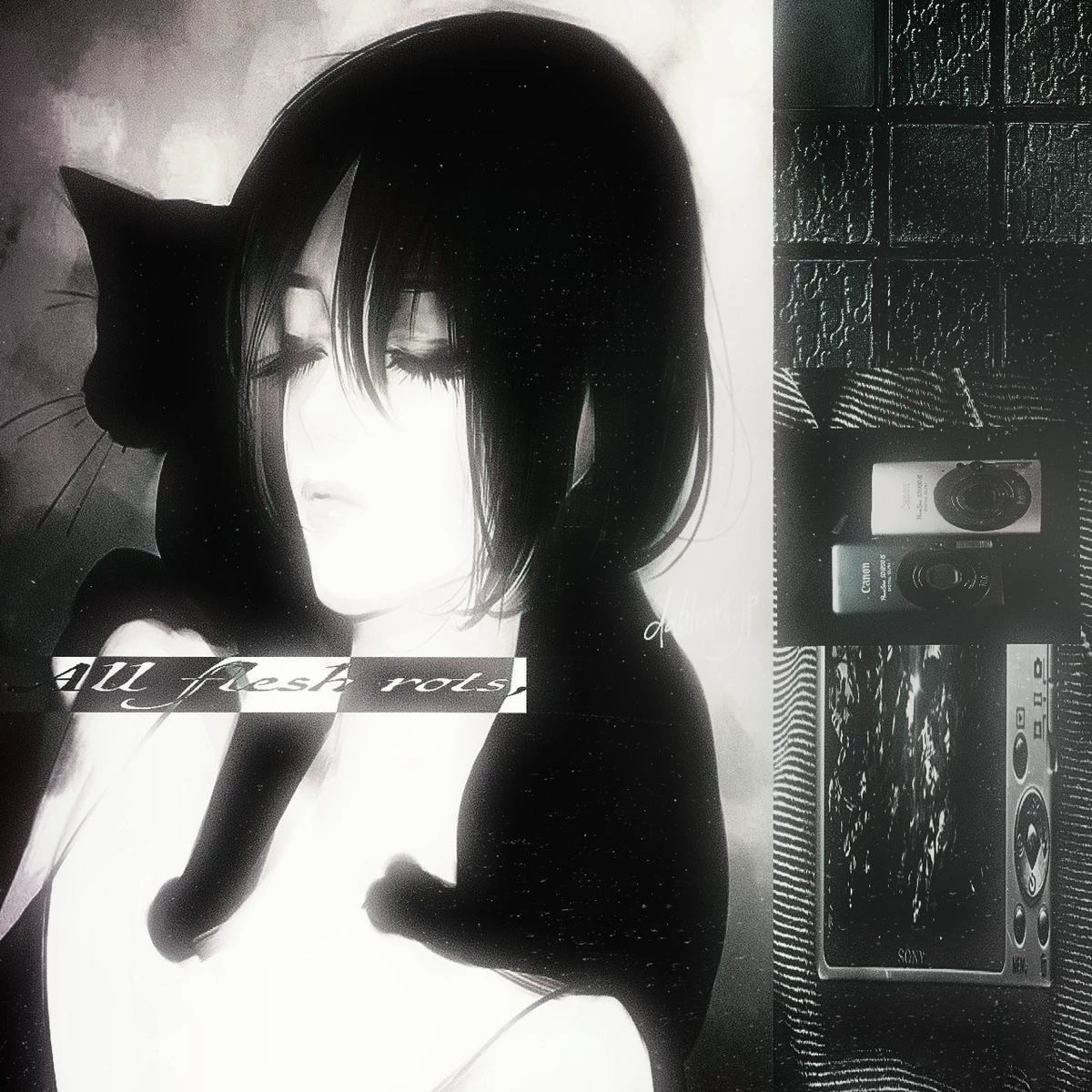 Misa