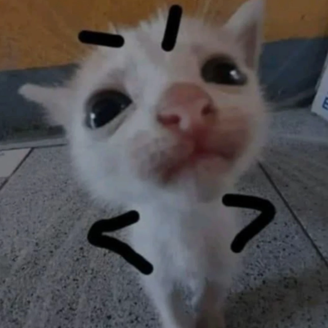 Nam