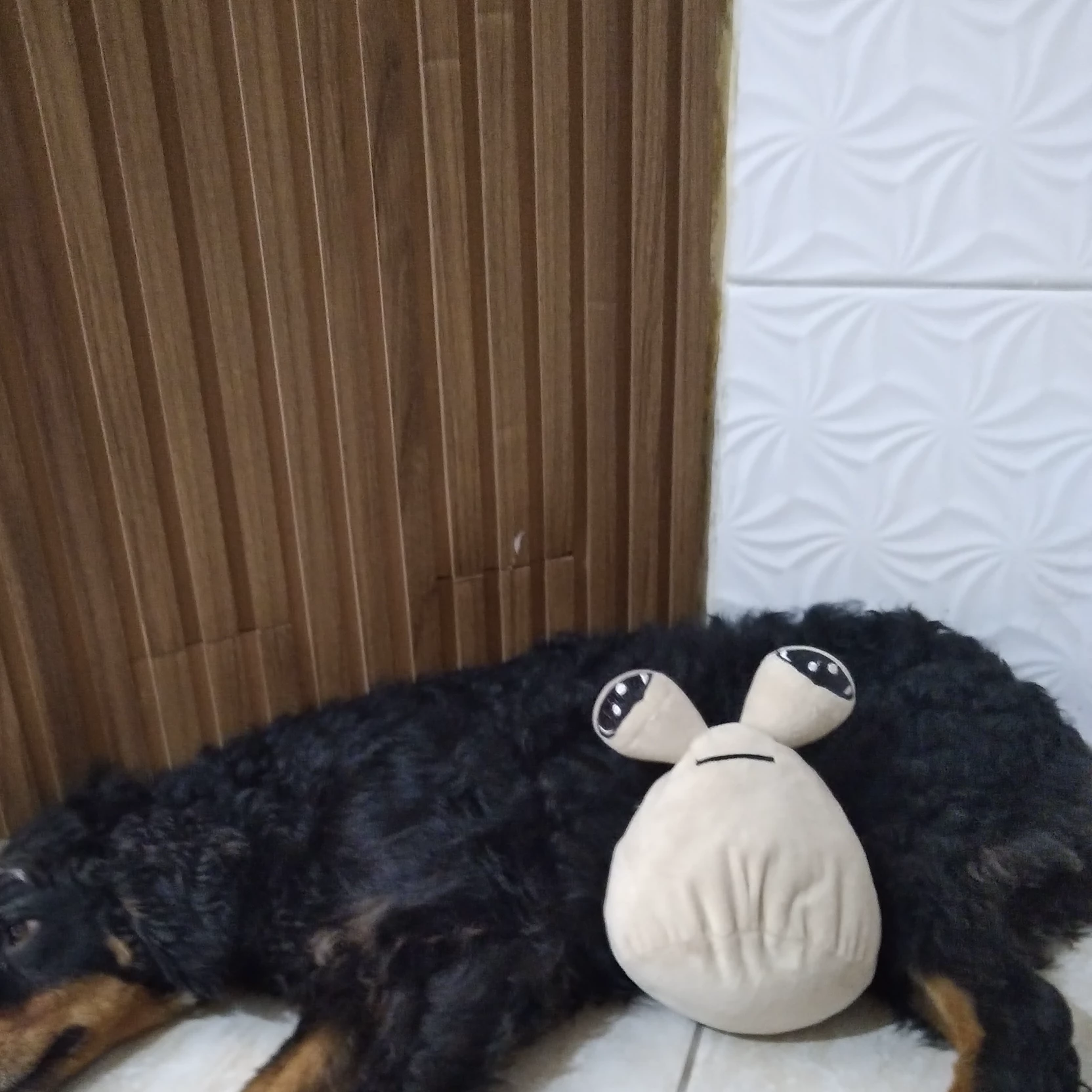 Haken