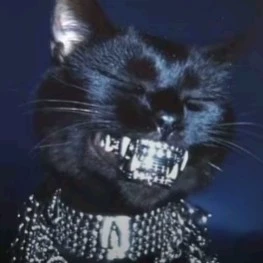 GanstaCat
