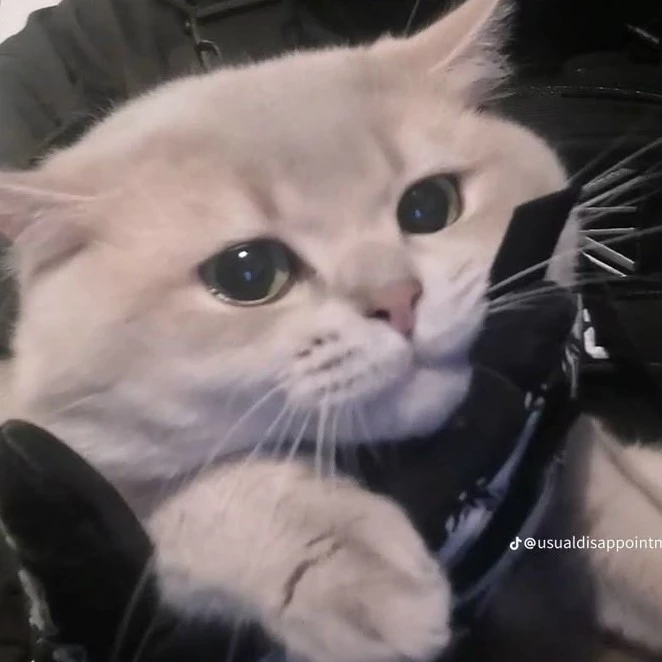 Lulu