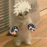 •. Suriki . •