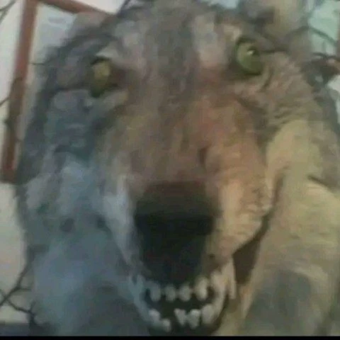 Eren