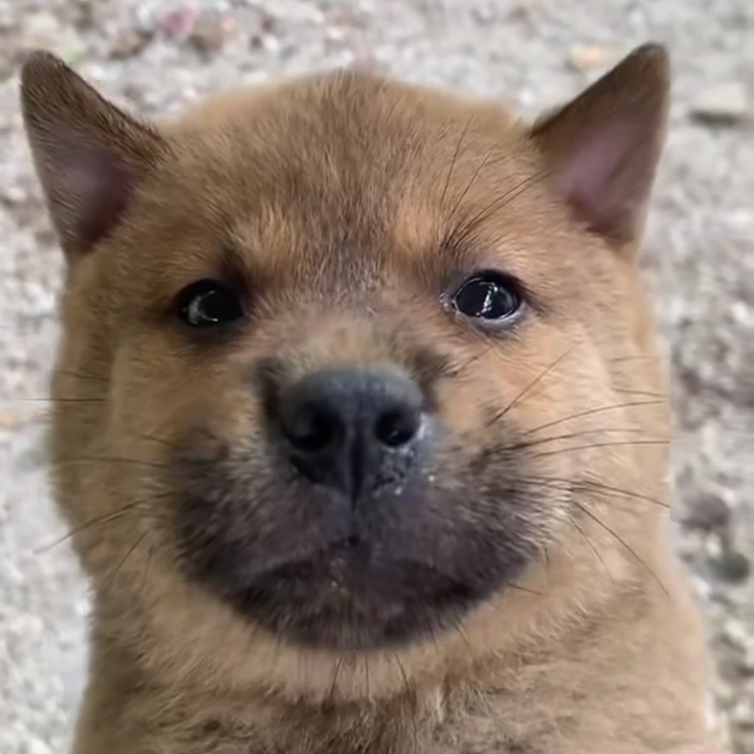 Alan