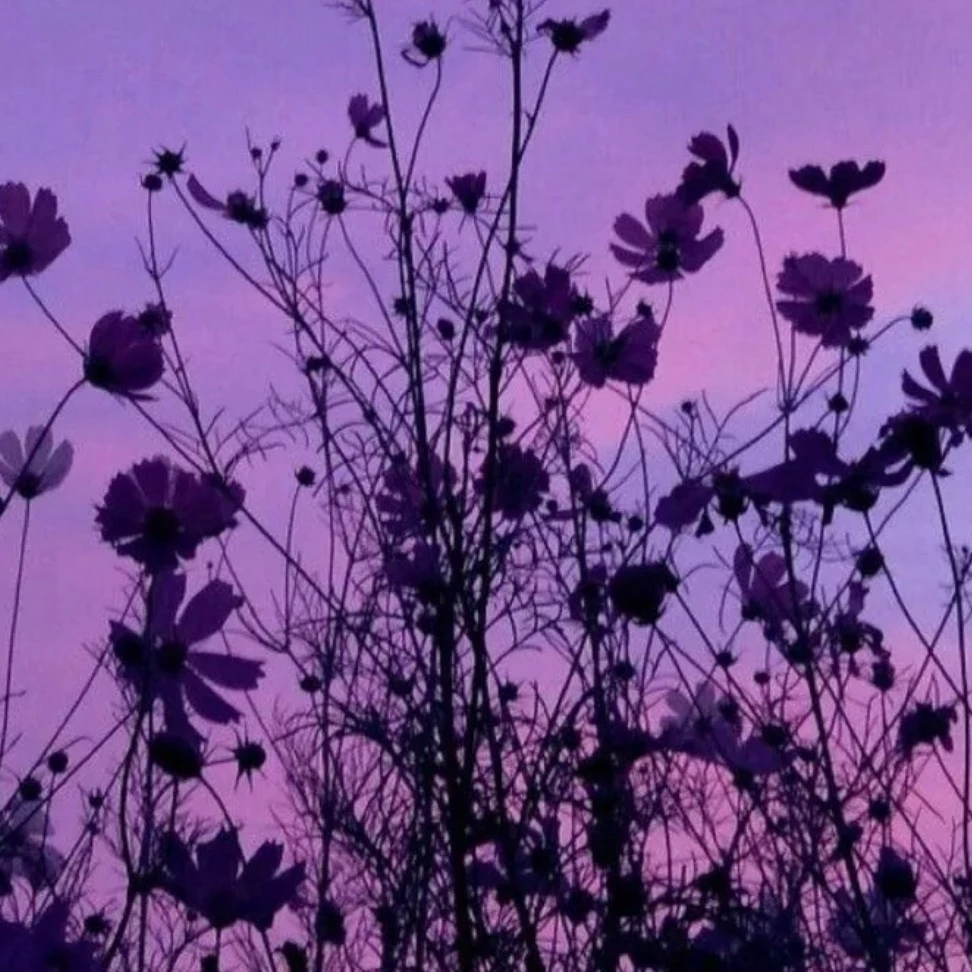 ♡Сайде ♡