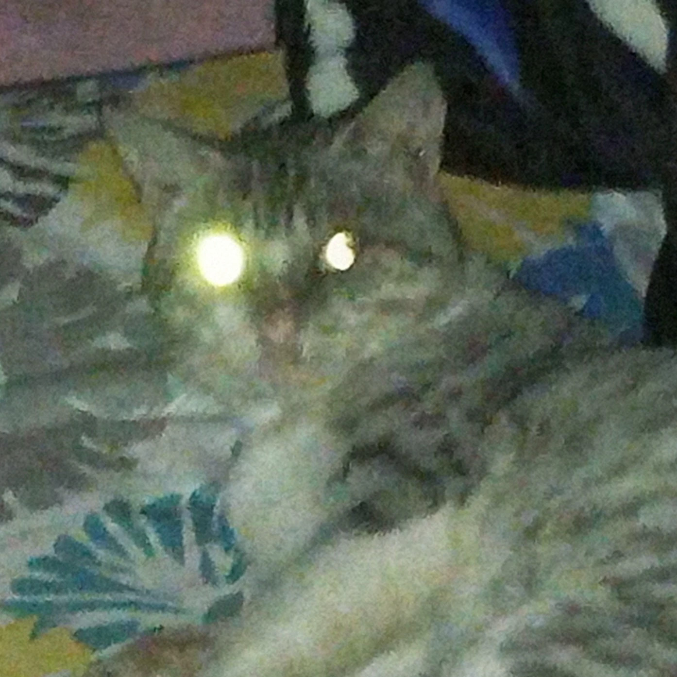 Josué 