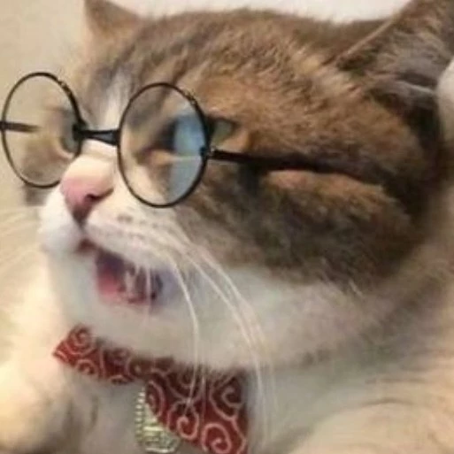Conner Deirdre.