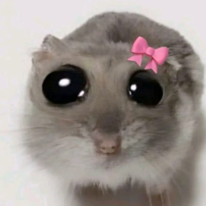 Muffiecookie ♡☆