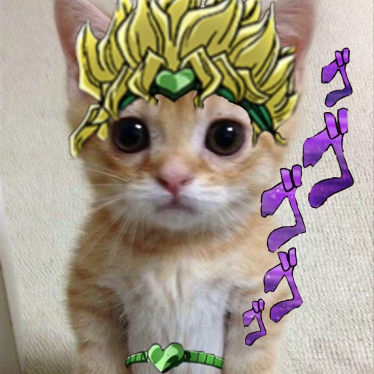 Dio Cat 
