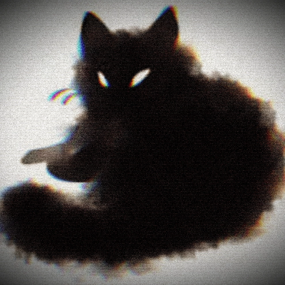 Black cat