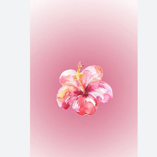 Isabella-Bella