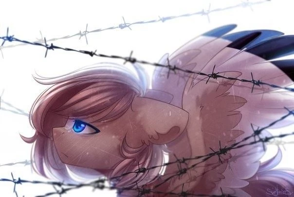 Silver Dawn thumbnail