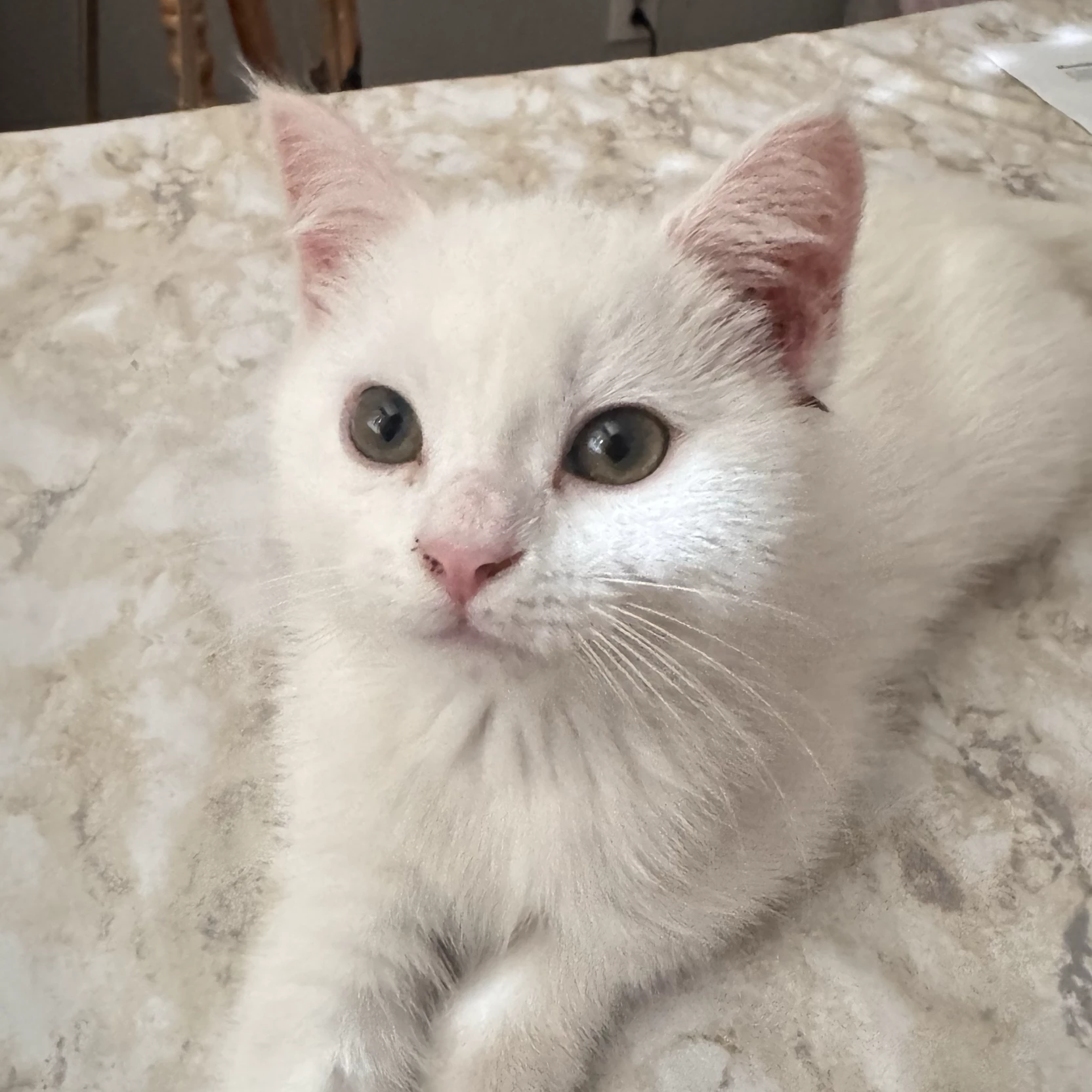 Precious