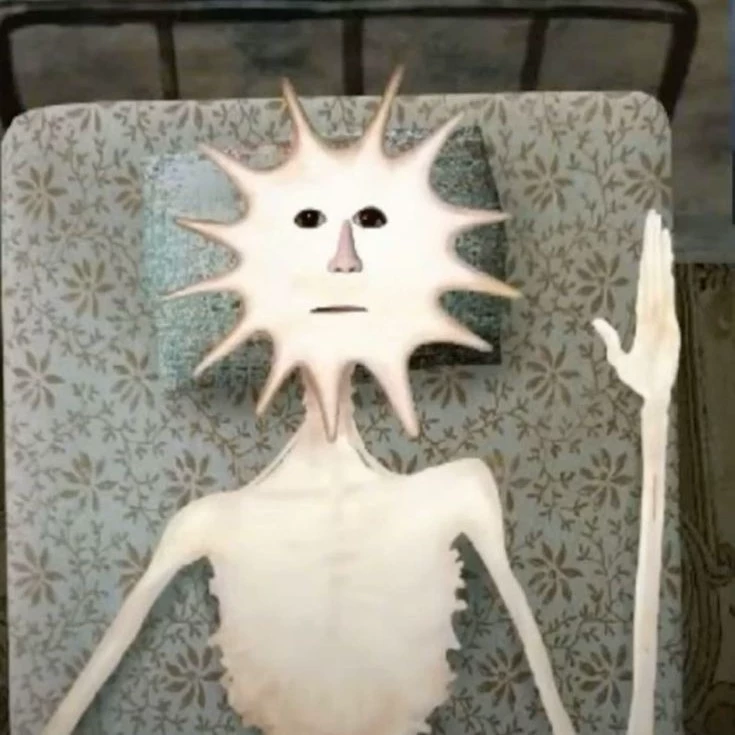 Todd