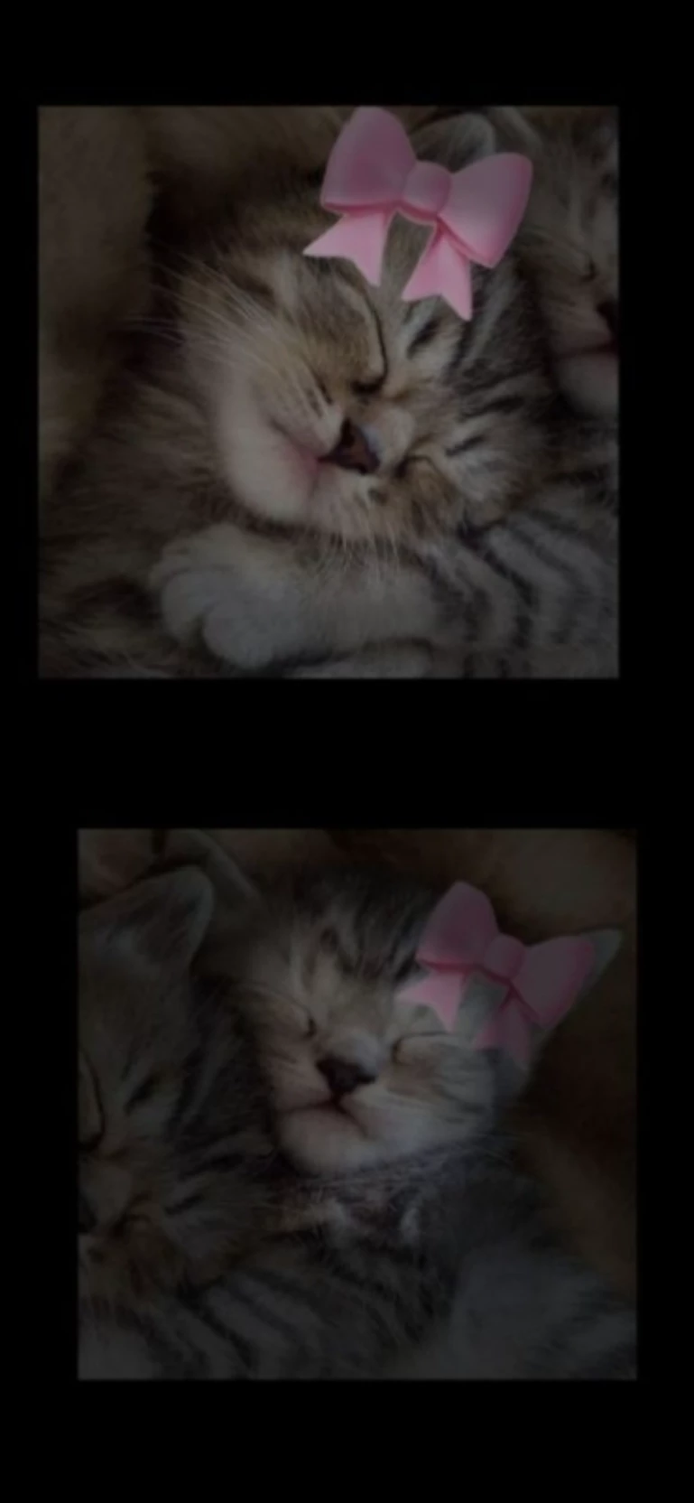 Kiro_