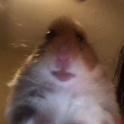 Theo