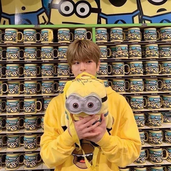 Purin