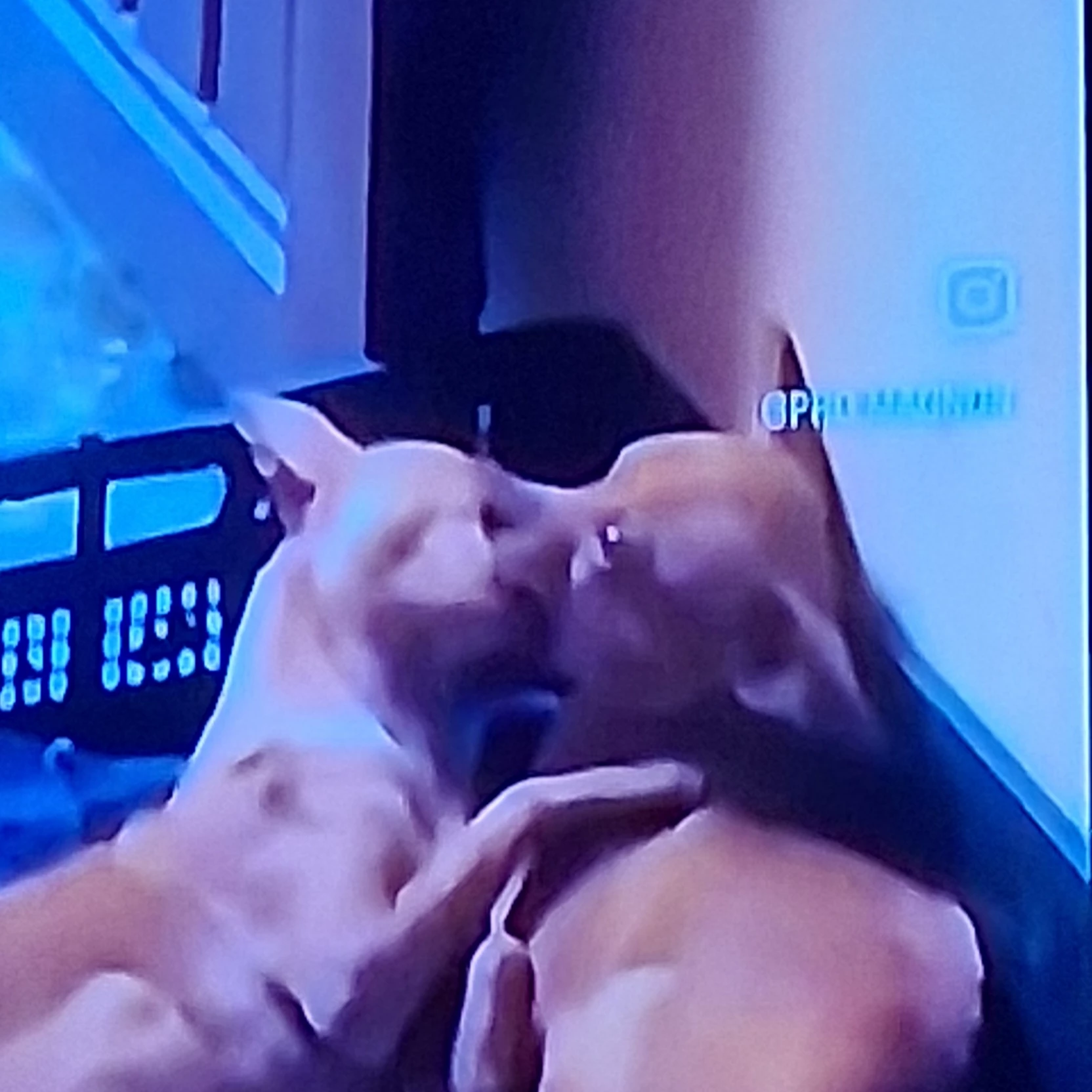 .