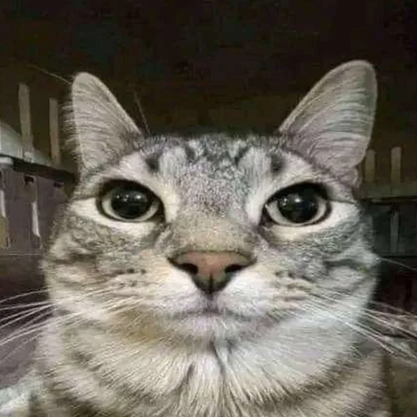 Ethan