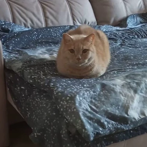 Юкито