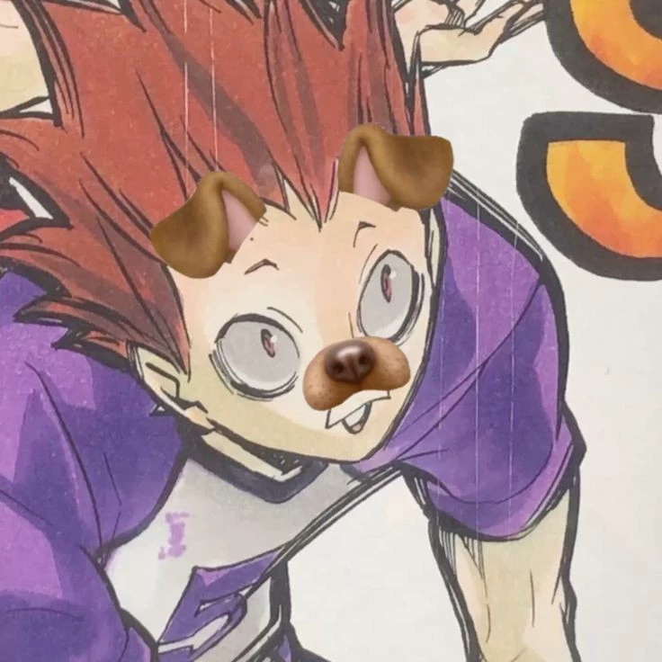 Maxwell 