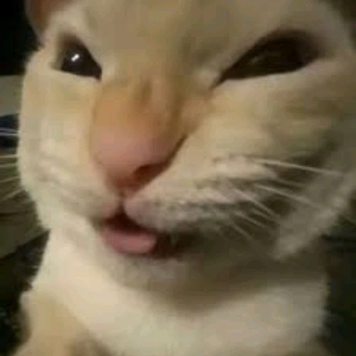 Maikuu 